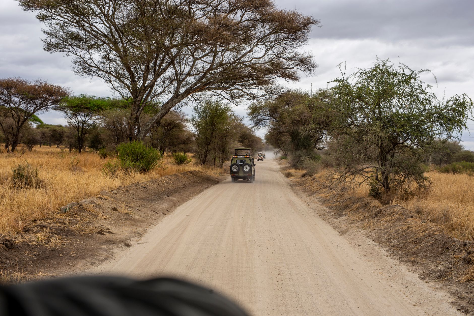 Safari au Parc Kruger
